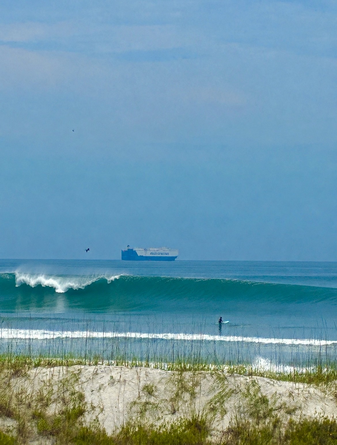Wave peeling off the beach at 30A