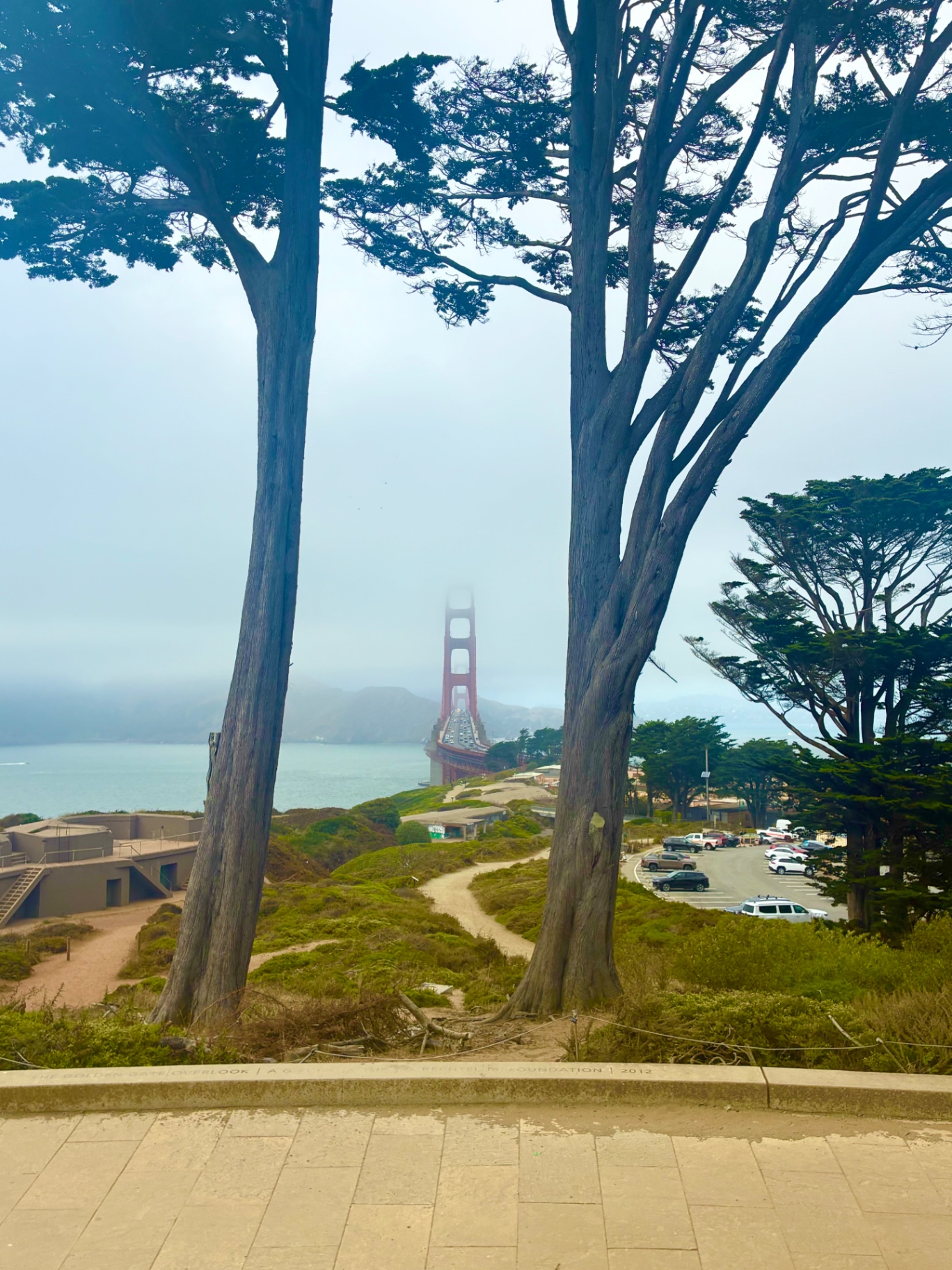 Golden Gate Bridge through the trees